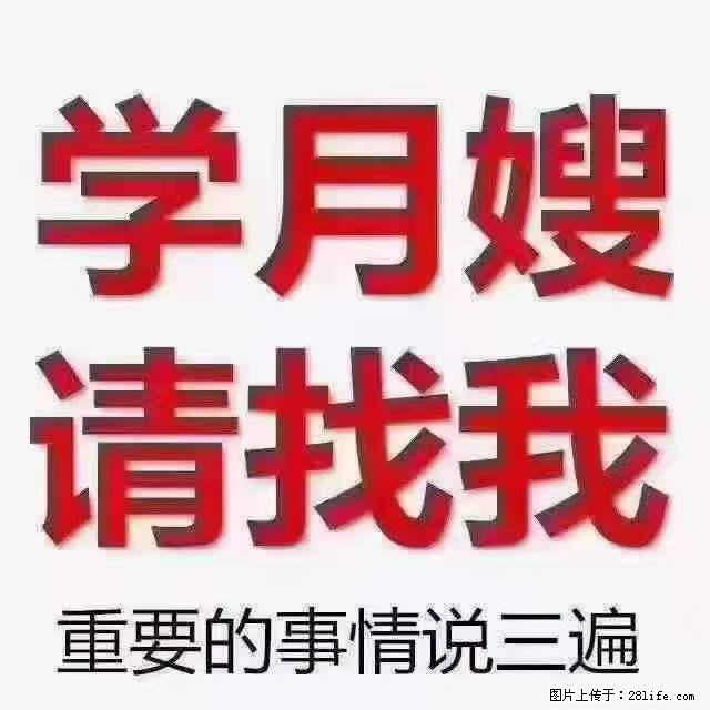 为什么要学习月嫂，育婴师？ - 其他广告 - 广告专区 - 阜新分类信息 - 阜新28生活网 fx.28life.net