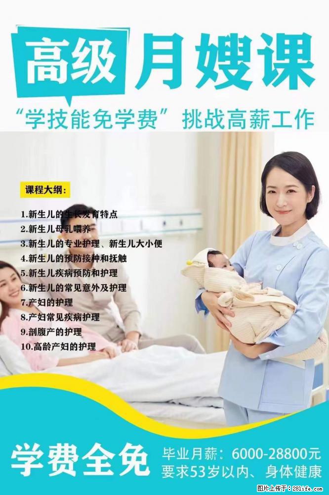 为什么要学习月嫂，育婴师？ - 其他广告 - 广告专区 - 阜新分类信息 - 阜新28生活网 fx.28life.net