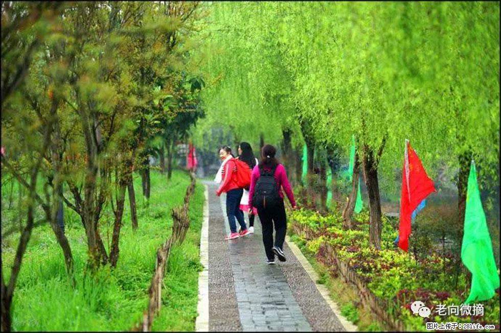 【春天，广西桂林灌阳县向您发出邀请！】江口老街又逢春 - 游山玩水 - 阜新生活社区 - 阜新28生活网 fx.28life.net