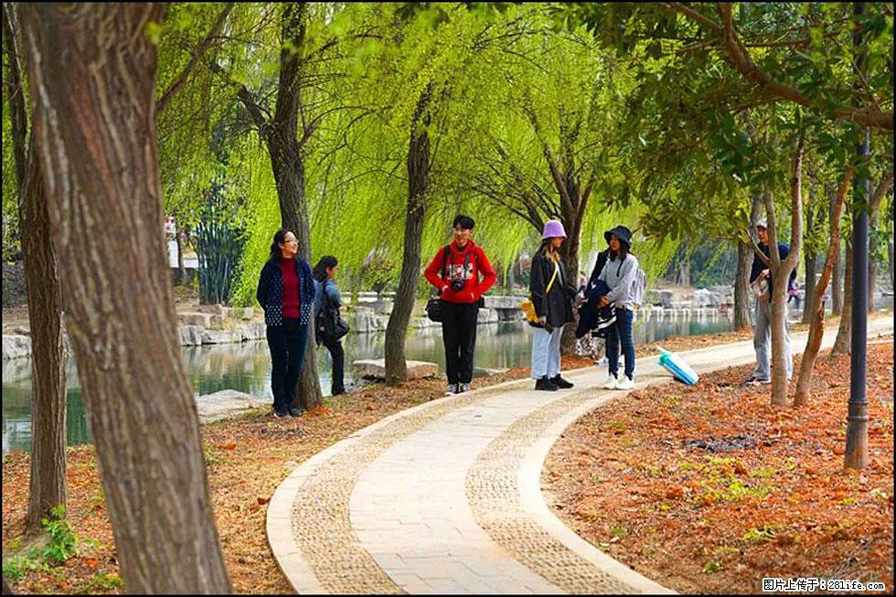 【春天，广西桂林灌阳县向您发出邀请！】江口老街又逢春 - 游山玩水 - 阜新生活社区 - 阜新28生活网 fx.28life.net