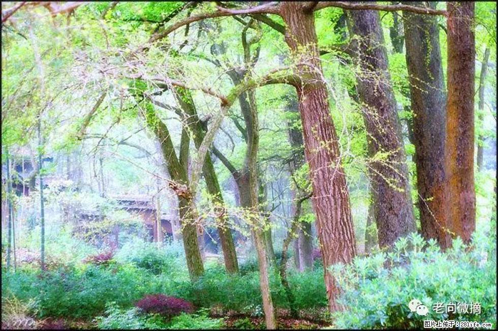 【春天，广西桂林灌阳县向您发出邀请！】在小龙村与春天约会 - 游山玩水 - 阜新生活社区 - 阜新28生活网 fx.28life.net