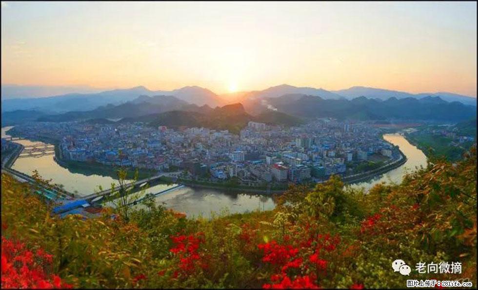 【春天,广西桂林灌阳县向您发出邀请!】登麒麟山,相约映山红 - 游山玩水 - 阜新生活社区 - 阜新28生活网 fx.28life.net