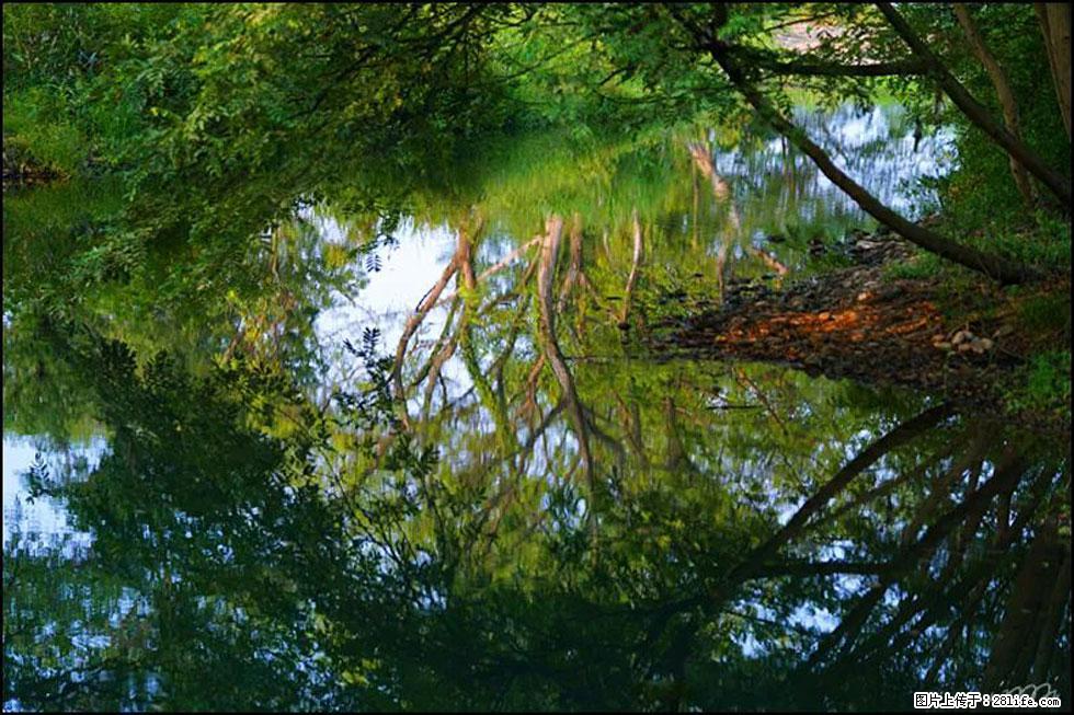 【春天，广西桂林灌阳县向您发出邀请！】熊家寨湿地公园 - 游山玩水 - 阜新生活社区 - 阜新28生活网 fx.28life.net