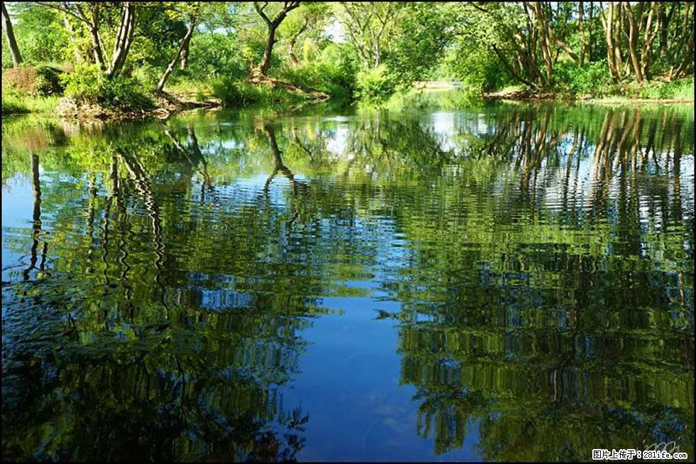 【春天，广西桂林灌阳县向您发出邀请！】熊家寨湿地公园 - 游山玩水 - 阜新生活社区 - 阜新28生活网 fx.28life.net