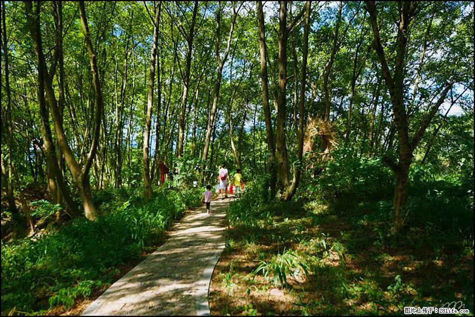 【春天，广西桂林灌阳县向您发出邀请！】熊家寨湿地公园 - 游山玩水 - 阜新生活社区 - 阜新28生活网 fx.28life.net