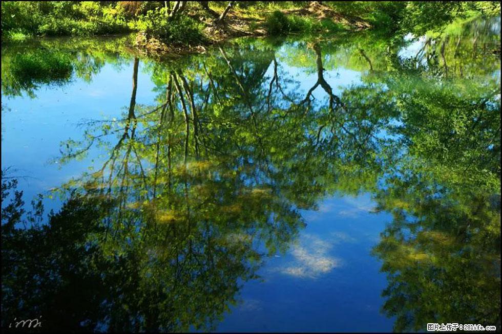 【春天，广西桂林灌阳县向您发出邀请！】熊家寨湿地公园 - 游山玩水 - 阜新生活社区 - 阜新28生活网 fx.28life.net
