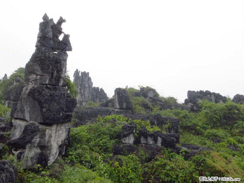 桂林旅游名城景点：灌阳文市石林 - 游山玩水 - 阜新生活社区 - 阜新28生活网 fx.28life.net