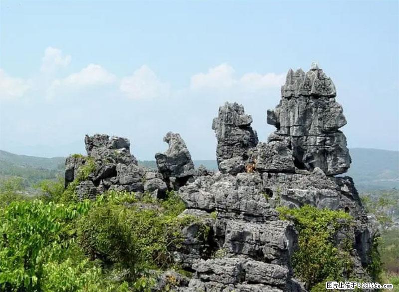 桂林旅游名城景点：灌阳文市石林 - 游山玩水 - 阜新生活社区 - 阜新28生活网 fx.28life.net