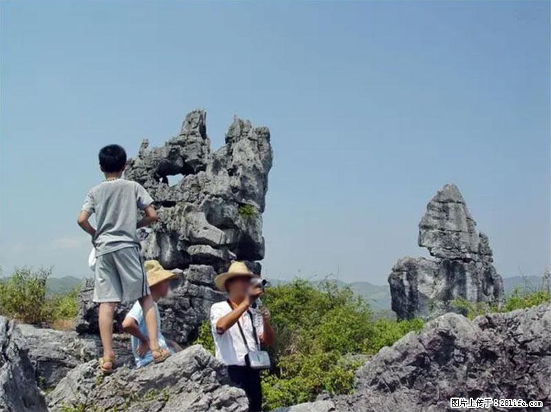 桂林旅游名城景点：灌阳文市石林 - 游山玩水 - 阜新生活社区 - 阜新28生活网 fx.28life.net