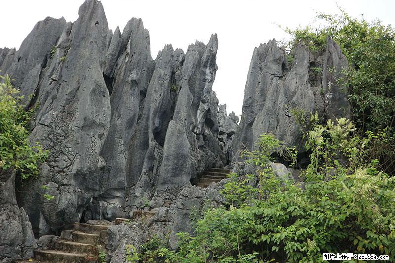 桂林旅游名城景点：灌阳文市石林 - 游山玩水 - 阜新生活社区 - 阜新28生活网 fx.28life.net
