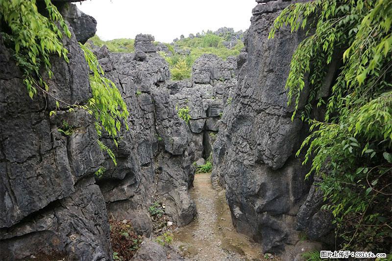 桂林旅游名城景点：灌阳文市石林 - 游山玩水 - 阜新生活社区 - 阜新28生活网 fx.28life.net