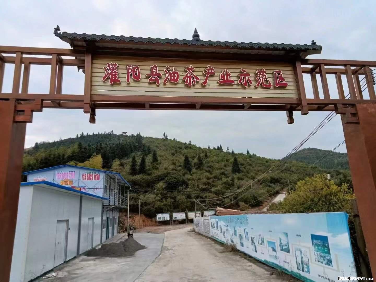 【灌阳县油茶产业示范区】一个有着充实的精神生活的人，对待身外之物自会有一种淡泊的态度 - 美食天地 - 阜新生活社区 - 阜新28生活网 fx.28life.net