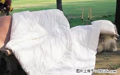 被子有异味？只要这样做，比晒太阳还强100倍！ - 家居生活 - 阜新生活社区 - 阜新28生活网 fx.28life.net
