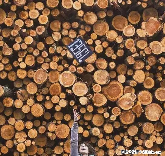 辞掉工作周游世界？现在他们在洗厕所…… - 游山玩水 - 阜新生活社区 - 阜新28生活网 fx.28life.net