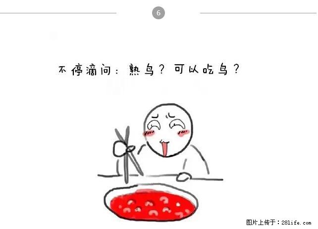 千万不要和这9种哈卵一起吃火锅！ - 美食天地 - 阜新生活社区 - 阜新28生活网 fx.28life.net