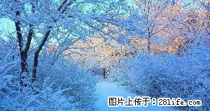 东苑小区交通岗附近 1室1厅1卫 - 房屋出租 - 房屋租售 - 阜新分类信息 - 阜新28生活网 fx.28life.net