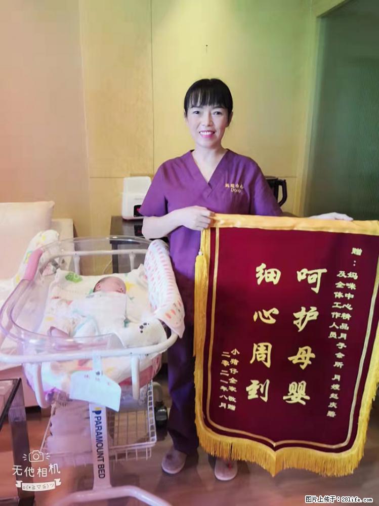 上海高端月子会所招新手月嫂，零基础带教，包吃住 - 职场交流 - 阜新生活社区 - 阜新28生活网 fx.28life.net