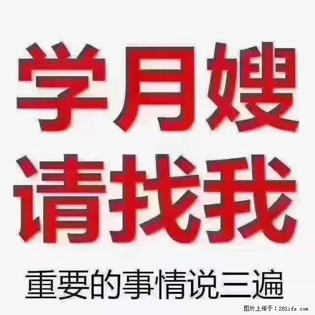 【招聘】月嫂，上海徐汇区 - 职场交流 - 阜新生活社区 - 阜新28生活网 fx.28life.net