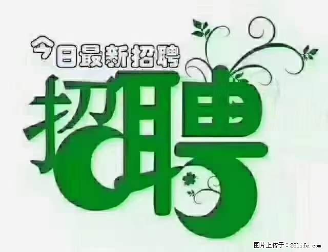 上海青浦区招仓管 - 职场交流 - 阜新生活社区 - 阜新28生活网 fx.28life.net