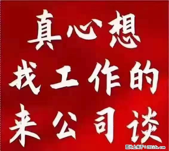【上海】国企，医院招两名男保安，55岁以下，身高1.7米以上，无犯罪记录不良嗜好 - 职场交流 - 阜新生活社区 - 阜新28生活网 fx.28life.net