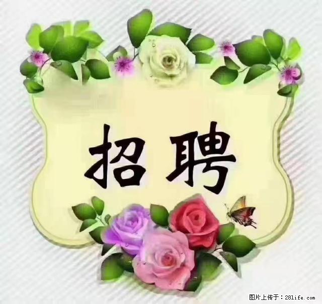 【招聘】住家育儿嫂，上户日期：4月4日，工作地址：上海 黄浦区 - 职场交流 - 阜新生活社区 - 阜新28生活网 fx.28life.net
