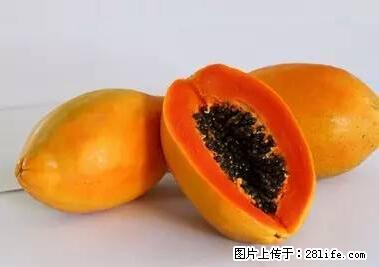 晕车、脚气、牙齿变黄、皮肤粗糙？学会这些三分钟搞定！ - 阜新生活资讯 - 阜新28生活网 fx.28life.net
