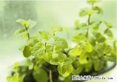 晕车、脚气、牙齿变黄、皮肤粗糙？学会这些三分钟搞定！ - 阜新生活资讯 - 阜新28生活网 fx.28life.net