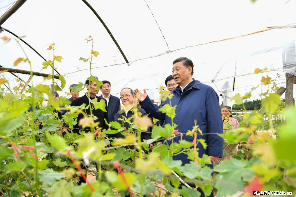 习近平赴广西考察调研 - 阜新生活资讯 - 阜新28生活网 fx.28life.net