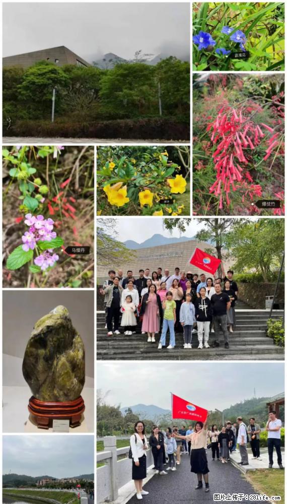 “粤灌文化 美好生活”油茶文化主题活动在广东深圳成功举办 - 阜新生活资讯 - 阜新28生活网 fx.28life.net