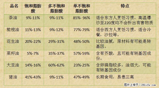 揭秘茶油的5大核心营养成分！被称为人体健康的“守护盾”！ - 阜新生活资讯 - 阜新28生活网 fx.28life.net