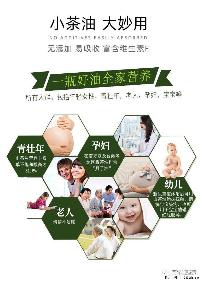 世界没有真相,只有认知,最好的食用油是中国的山茶油! - 阜新生活资讯 - 阜新28生活网 fx.28life.net