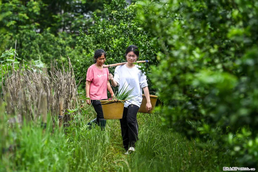 全网追的“扁担女孩”，找了一份暑假工，时薪12元 - 阜新生活资讯 - 阜新28生活网 fx.28life.net
