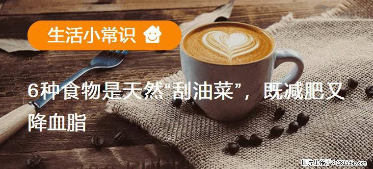 【生活小常识】6种食物是天然“刮油菜”，既减肥又降血脂 - 阜新生活资讯 - 阜新28生活网 fx.28life.net