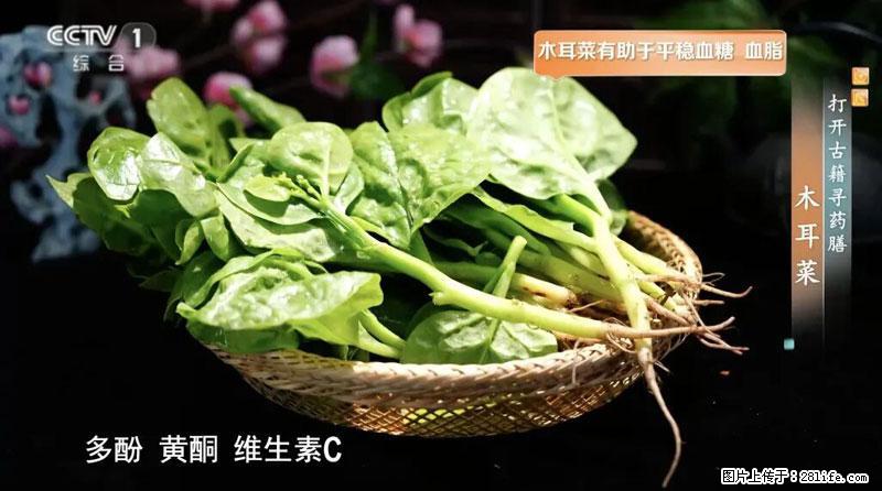 比牛奶补钙还厉害！凉血解毒、稳血糖...这菜冬天必吃，很多人却当草 - 阜新生活资讯 - 阜新28生活网 fx.28life.net