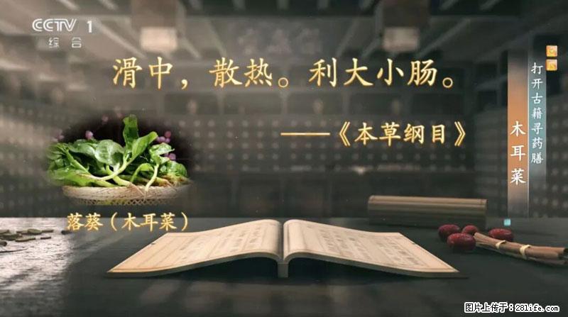 比牛奶补钙还厉害！凉血解毒、稳血糖...这菜冬天必吃，很多人却当草 - 阜新生活资讯 - 阜新28生活网 fx.28life.net