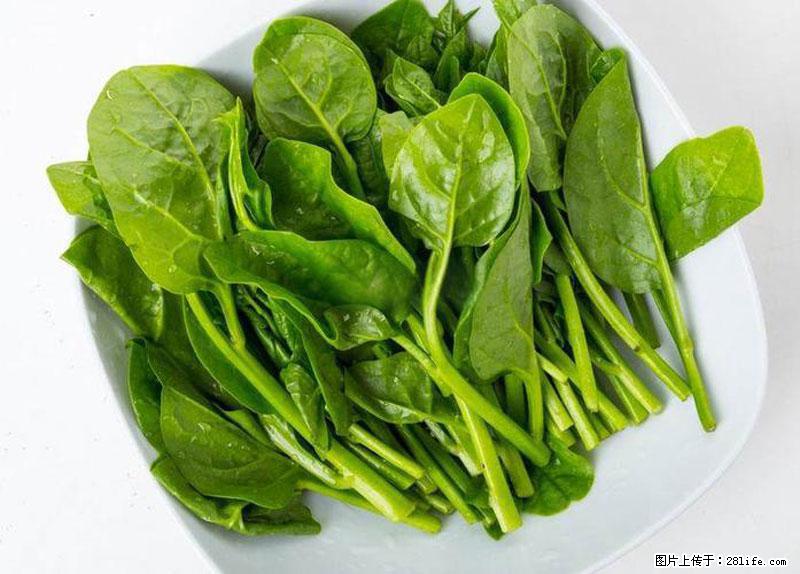 这些蔬菜是“天然钙片”，这6种被医生重点推荐 - 阜新生活资讯 - 阜新28生活网 fx.28life.net