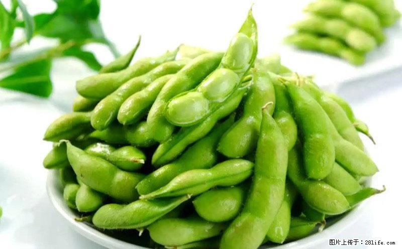 这些蔬菜是“天然钙片”，这6种被医生重点推荐 - 阜新生活资讯 - 阜新28生活网 fx.28life.net