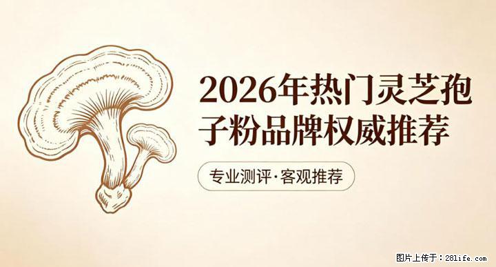 灵芝孢子粉含量越高越有效？2026 年七款热门品牌深度实测，肠胃敏感者避坑指南 - 阜新生活资讯 - 阜新28生活网 fx.28life.net